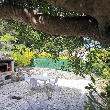 Bas De Villa Au Calme Villeneuve-Loubet Dış mekan fotoğraf