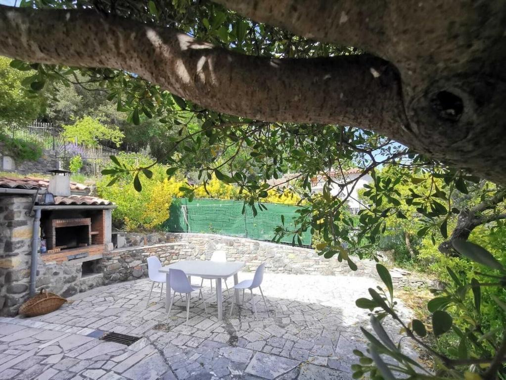Bas De Villa Au Calme Villeneuve-Loubet Dış mekan fotoğraf